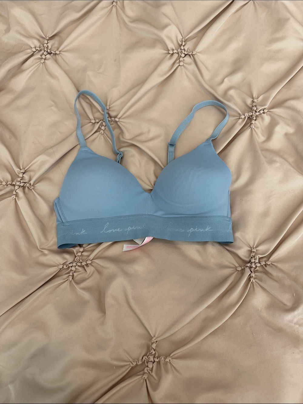 PINK Victoria's Secret Light Blue Wireless Padded Bra